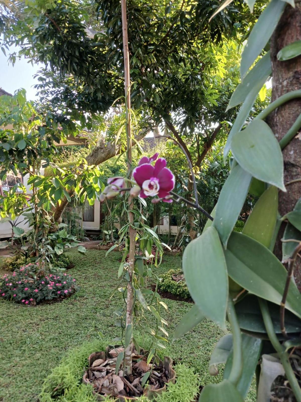 Ferienwohnung Puri Amartha Ubud Exterior foto